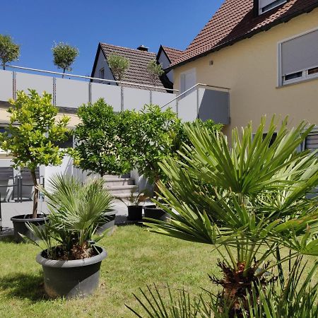 Haus Zum Schlosspark Veitshochheim Ngoại thất bức ảnh